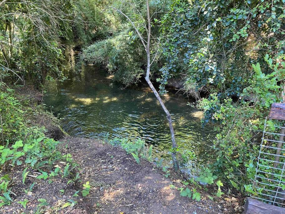 Acogedora cabaña al borde del Río Claro Vila Pucón Exterior foto