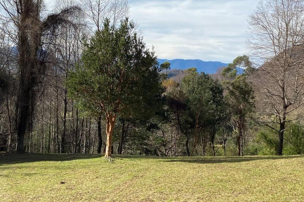 Acogedora cabaña al borde del Río Claro Vila Pucón Exterior foto